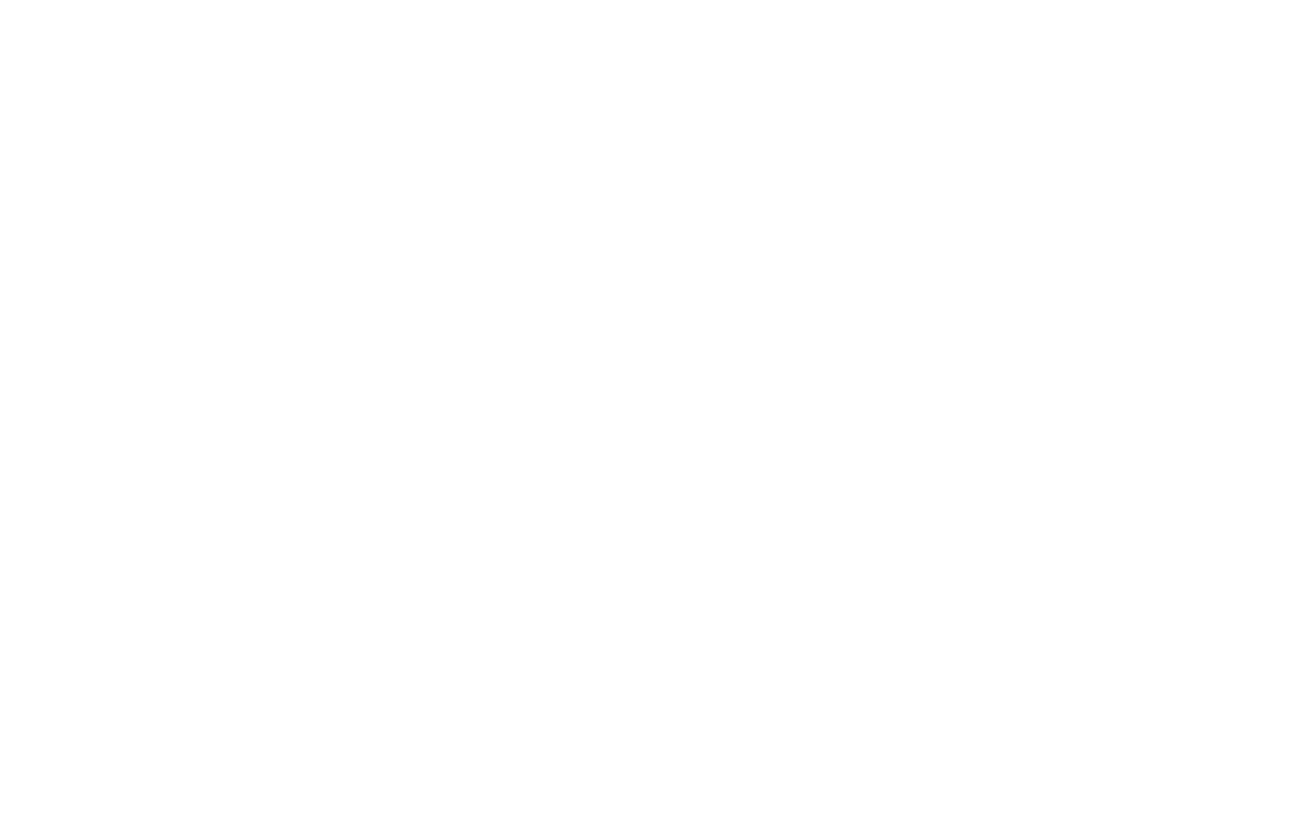 White logo 2